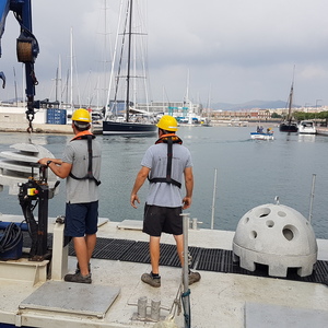 Biòtop a les platges metropolitanes