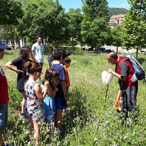 BioBlitz metropolità: Associació Ripollet Natura