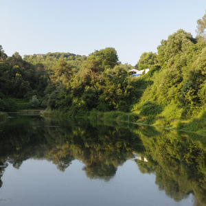 Imatge de Collserola