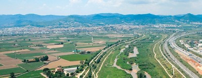 Diàleg d'àrees metropolitanes sobre infraestructures verdes: superant reptes i potenciant beneficis