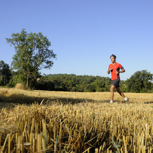 Imatge de Collserola