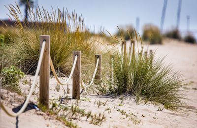 Dunes metropolitanes