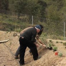 Feines a una de les noves parcel·les
