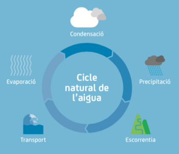 Pòster Cicle de l'aigua