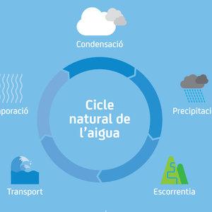 cicle aigua