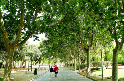 Unes persones passejant a l'ombra dels arbres d'un parc