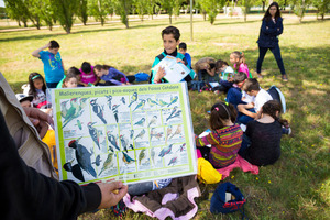 Coneguem el parc Nou Imatge de l'activitat