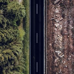 Carretera que separa un bosc desforestat d'un altre sense actuació humana