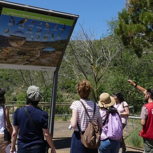 Dip&ograve;sit clausurat de la vall de Joan