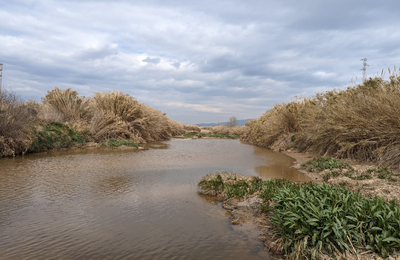 Espai fluvial del riu Llobregat
