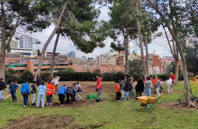 Plantació popular als parcs