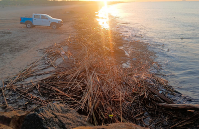 Balanç de l’estiu a les platges