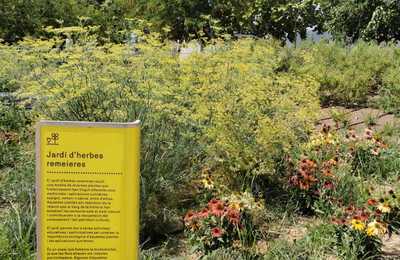 Senyalització del jardí d'herbes remeieres