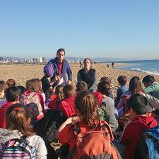 Coneguem l'ecosistema de les platges metropolitanes