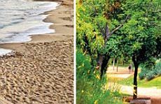 Xarxa de Parcs i Platges Metropolitanes