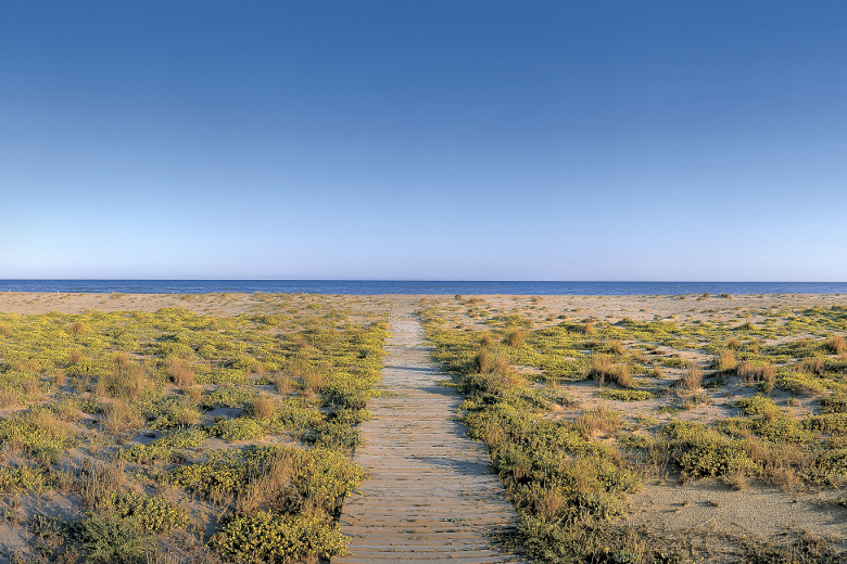 Camí d'arribada al mar