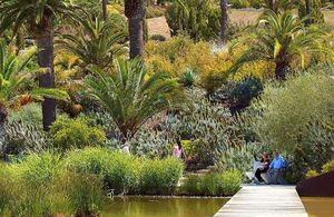 Imatge del jardí Botànic de Barcelona