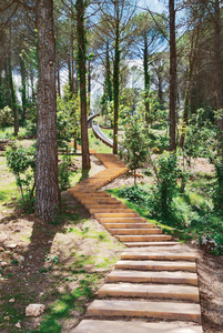 Escales que donen accés als diferents nivells del parc