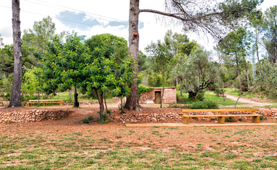 Zona de descans sota els arbres