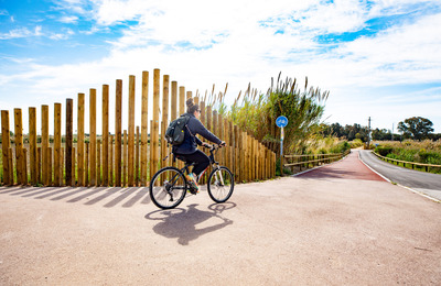 Imatge del carril bici