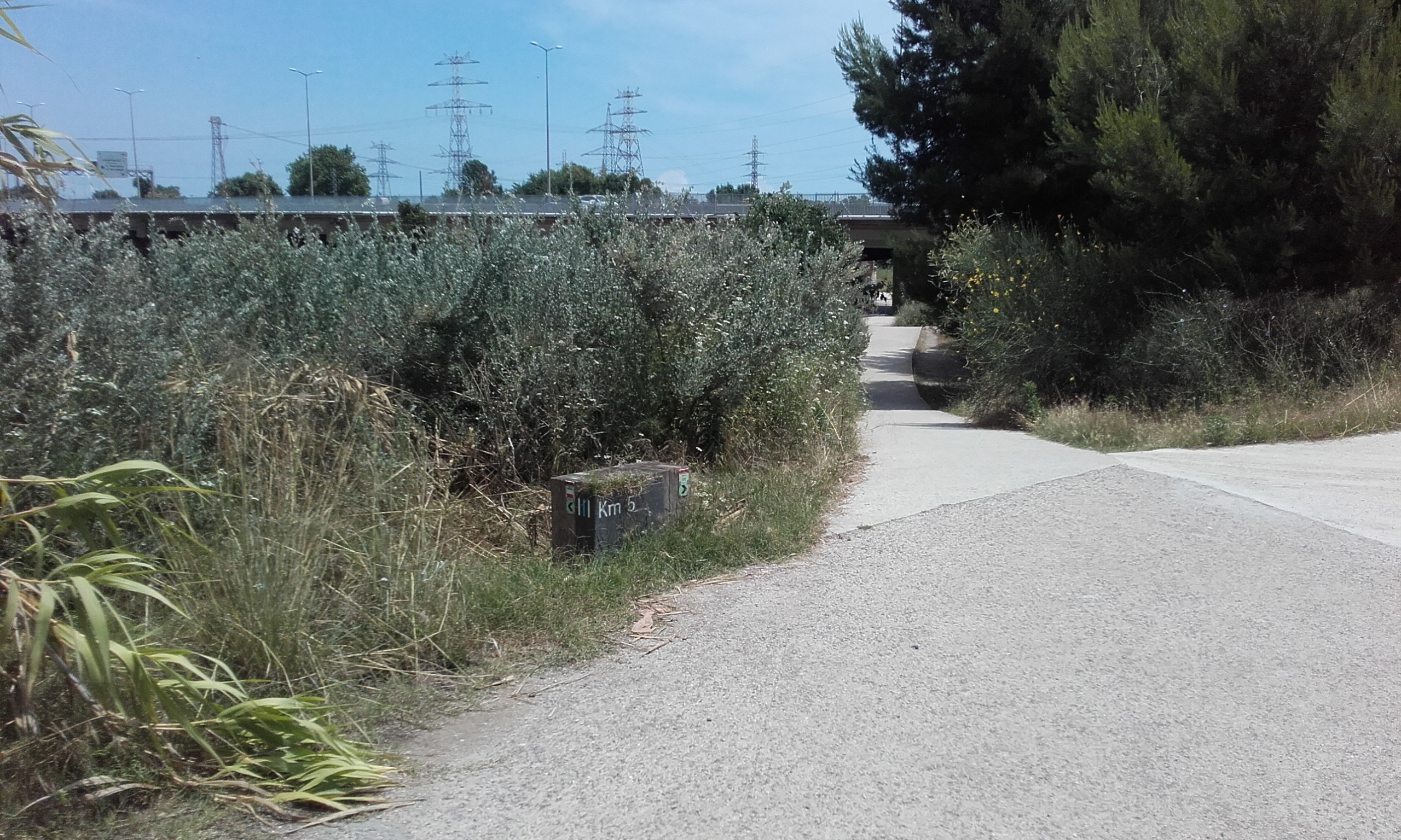 Viaducte de la C-31 a l'autovia de Castelldefels