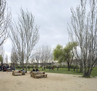 Zona de gespa i taules de pícnic del parc