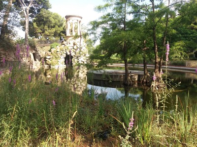 Illes flotants del parc