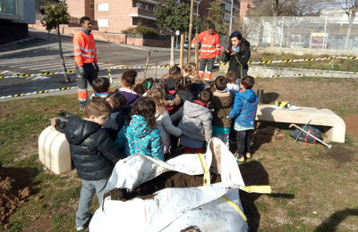 Plantació de 380 arbres als parcs metropolitans