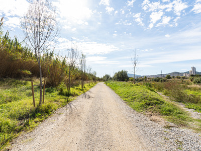 Millora cami riu Llobregat