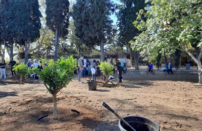 Jardí de cítrics