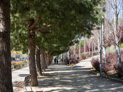 Imatge del parc