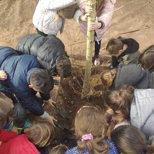 Nens i nenes plantant arbres