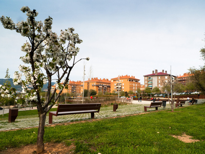Imatge del parc