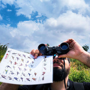 Observació de fauna: ocells