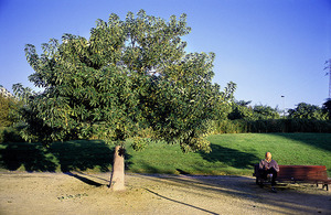 Imatge del parc de Bellvitge