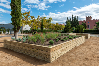 Jardí de papallones