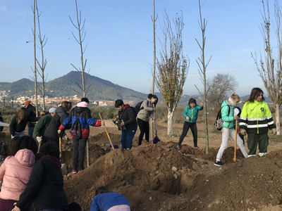 voluntaris planten arbres