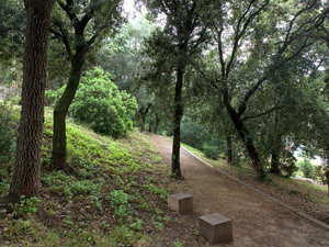 Imatge del parc
