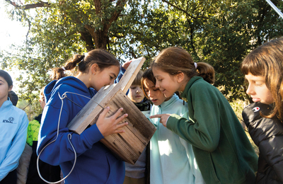Nenes participant en un projecte de caixes niu