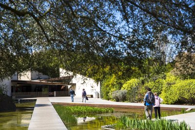 Una persona passejant al costat de l'estany