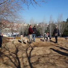 Àrees i espais d'esbarjo per a gossos