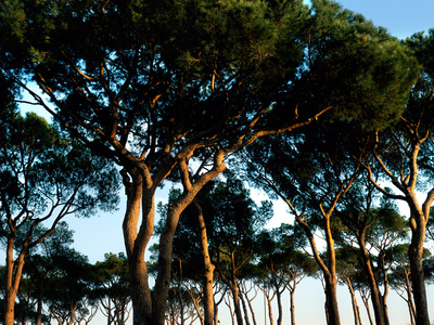 Imagen del parque