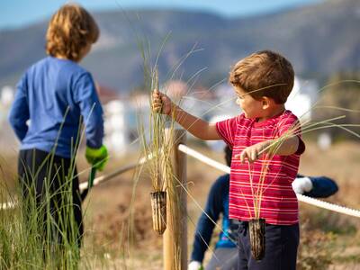 Nens col·locant plantes autòctones a les dunes de les platges