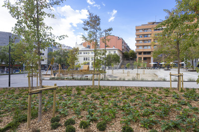 IMG Zona ajardinada a la plaça de la Bóbila
