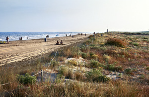 Imatge de les platges del Prat Llobregat