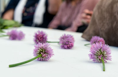 Biodiversitat