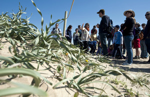 Volem dunes! Voluntariat a la platja de Castelldefels