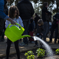 Èxit de participació al jardí de papallones