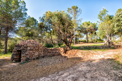 Una de les intervencions que s'han dut a terme al parc