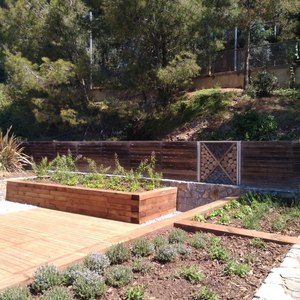 Jardí d'herbes remeieres del parc del Mil·lenari